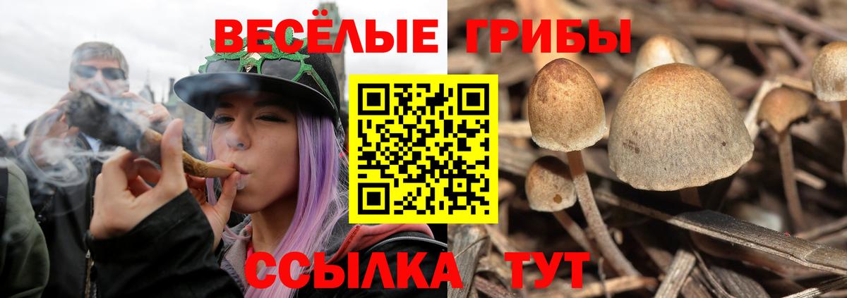 Псилоцибиновые грибы MAGIC MUSHROOMS  продажа наркотиков  Петропавловск-Камчатский  Вход с VPN 